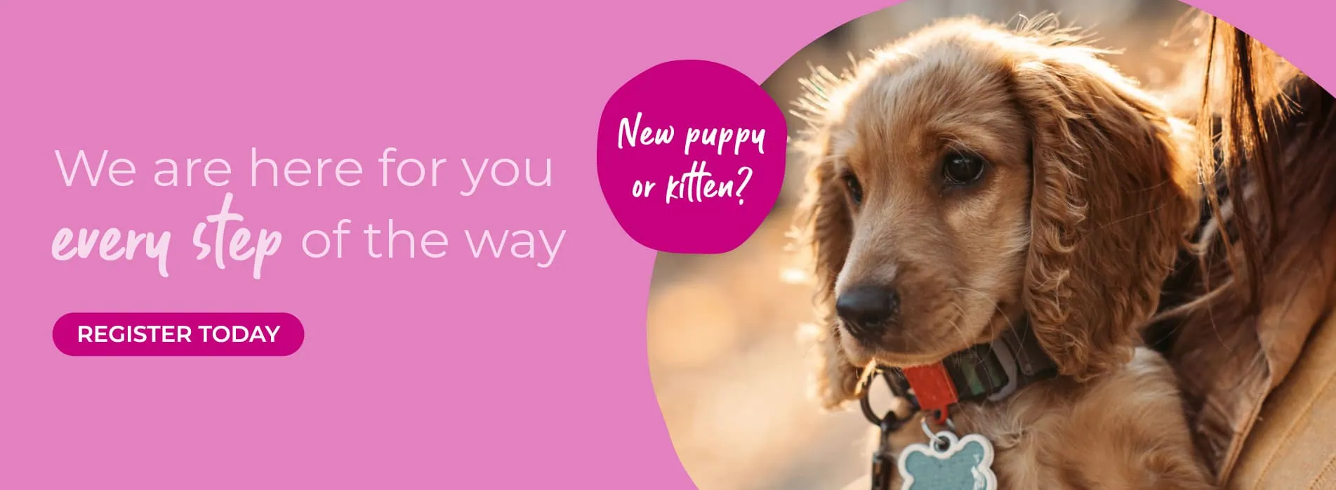 608 Veterinary Practice in Solihull, Bentley Heath and Acocks Green