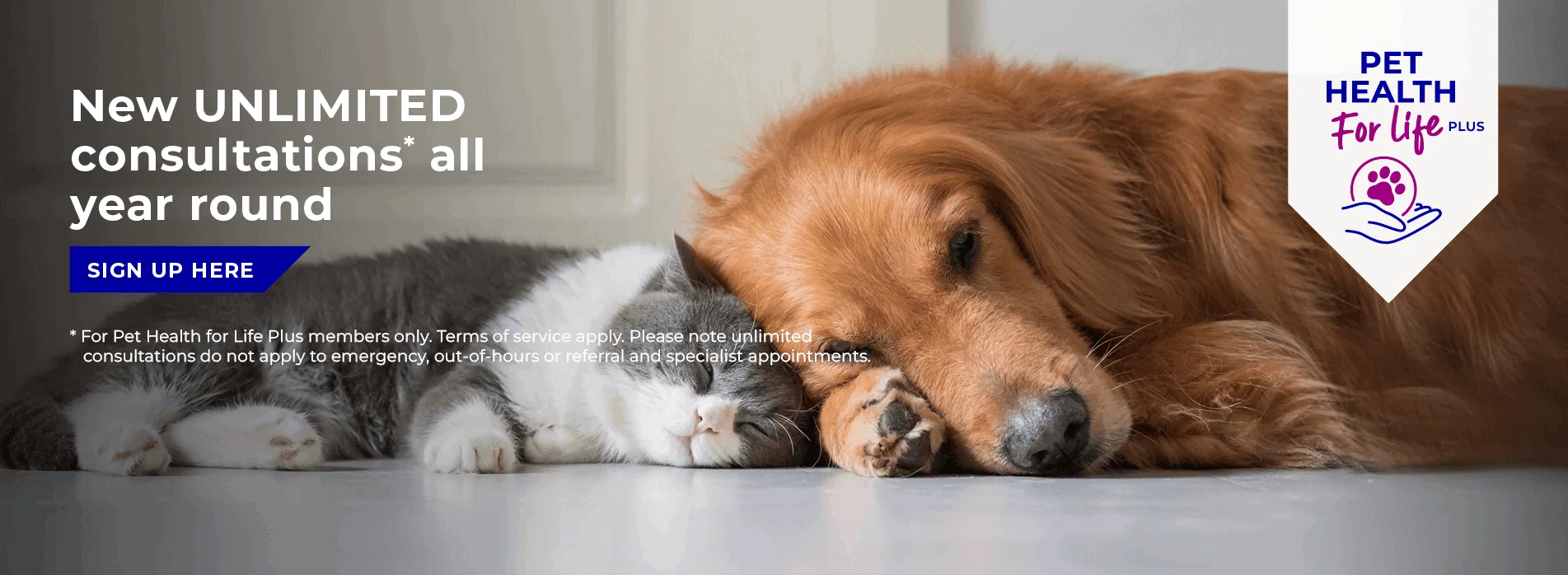 608 Veterinary Practice in Solihull, Bentley Heath and Acocks Green