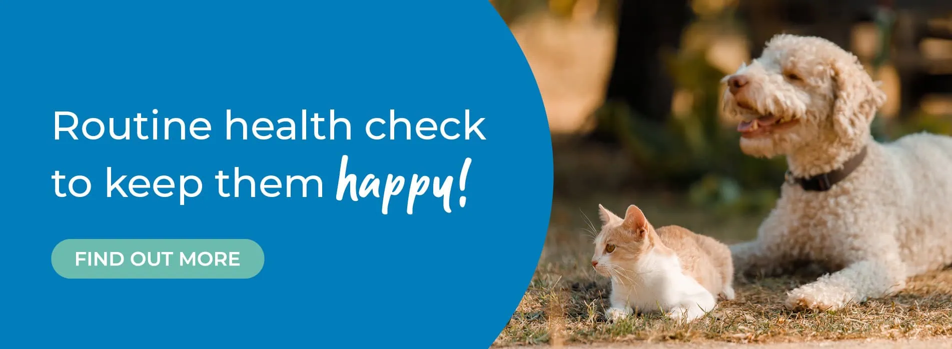 608 Veterinary Practice in Solihull, Bentley Heath and Acocks Green