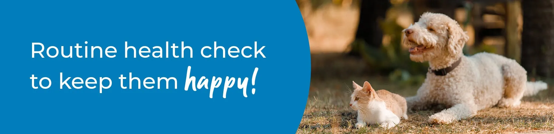 Pet Health Check in West Midlands | Preventative Vet Care