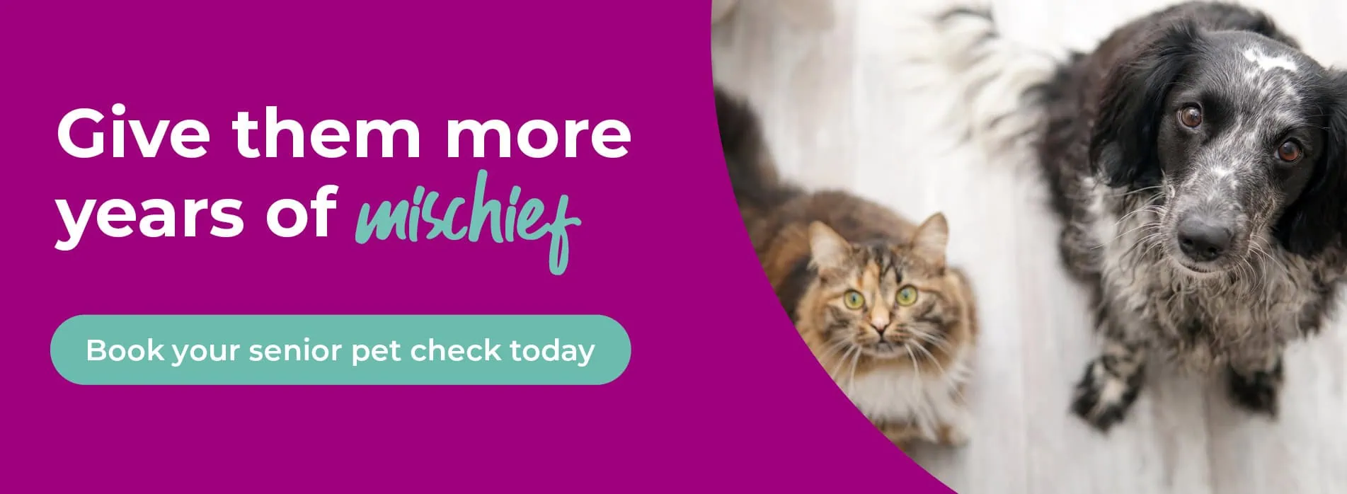 608 Veterinary Practice in Solihull, Bentley Heath and Acocks Green