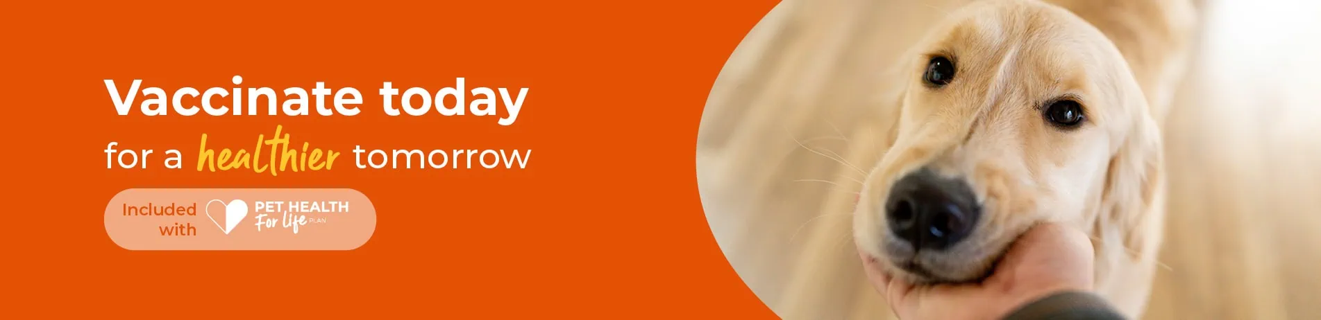 Vaccinations at 608 Vets